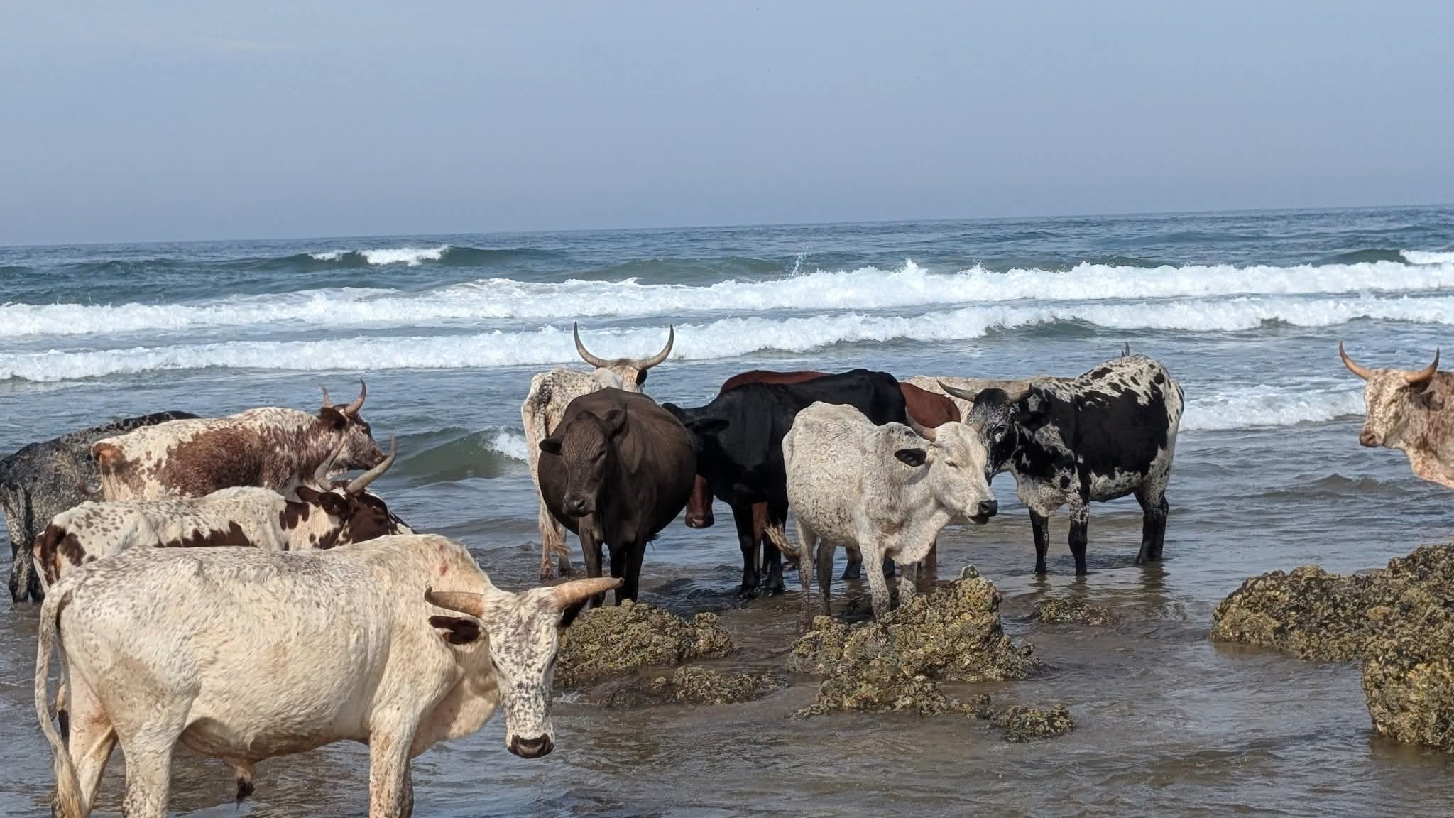 Wild Coast landscape 9 - Pristine beaches and dramatic cliffs of Mpondoland