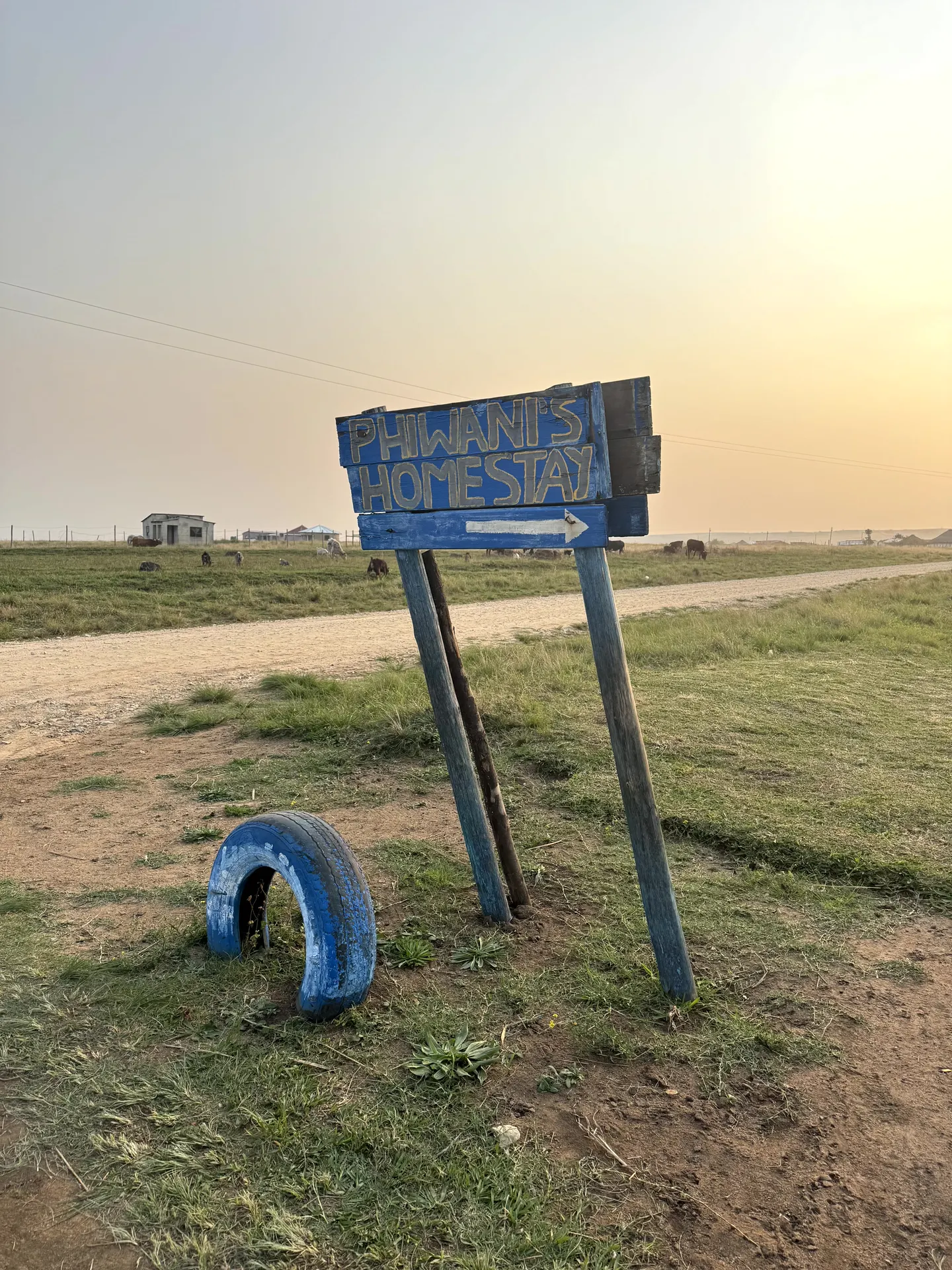 Phiwani's Homestay wooden sign at sunset with rural landscape