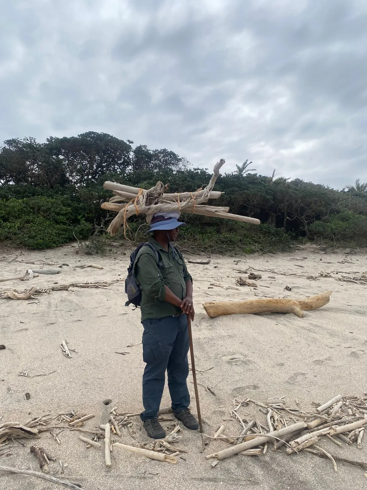 Person carrying firewood bundle on head at sandy beach